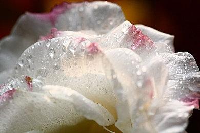 《前线任务1st：重制版》更新上线 多项追加调整